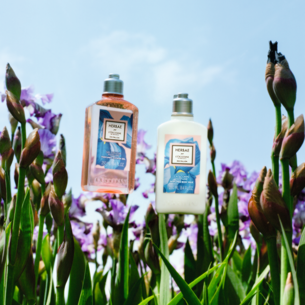 Herbae par L'Occitane Iris Pallida Body Lotion