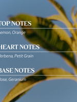 Verbena Home & Linen Mist