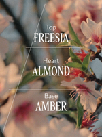 Almond Delightful Hair & Body Mist