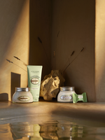 Almond Delicious Paste