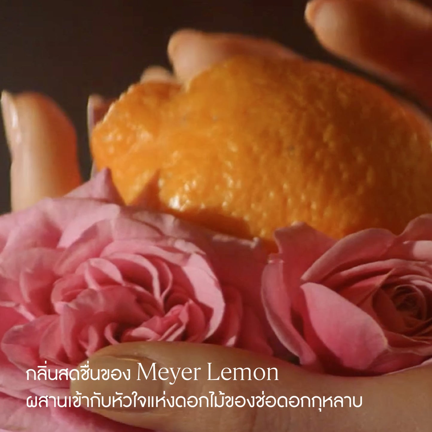 Rose Citron Meyer Hand Cream