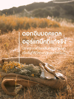 NEW! Immortelle Divine Cream (50ml)