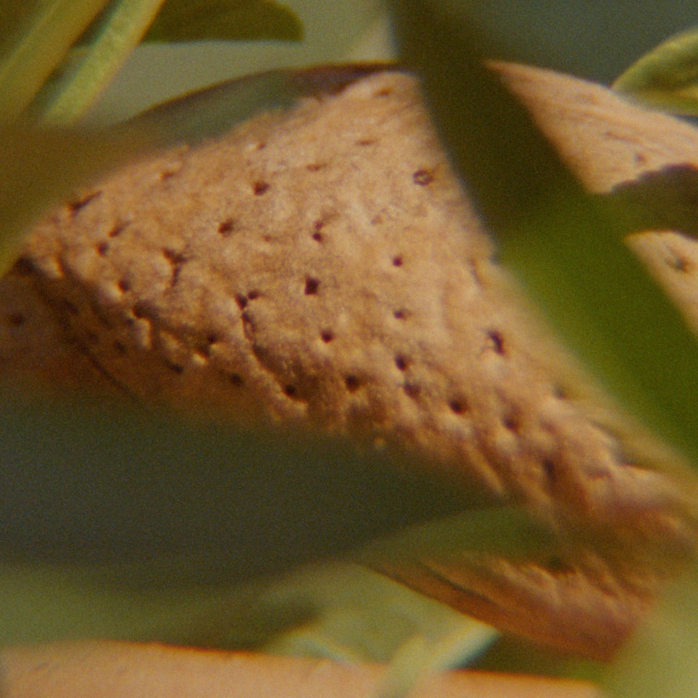 Image with text