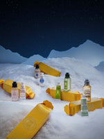 L'Occitane Holiday Crackers Kit