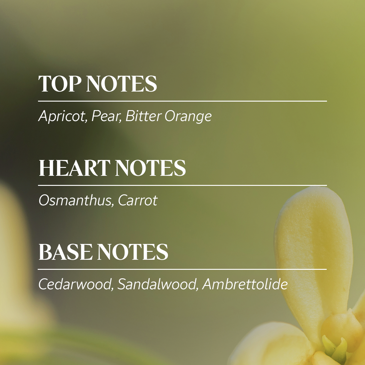 Osmanthus Eau de Toilette