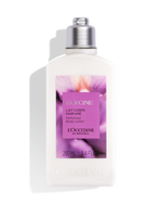 Wisteria Body Lotion
