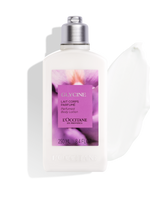 Wisteria Body Lotion
