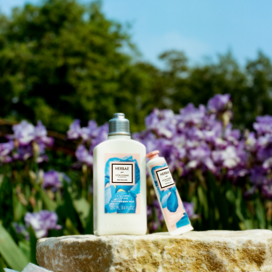 Herbae par L'Occitane Iris Pallida Hand Cream