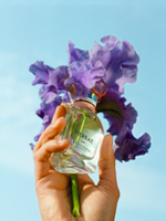 Herbae par L'Occitane Iris Pallida
