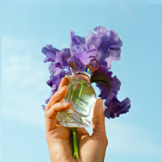 Herbae par L'Occitane Iris Pallida