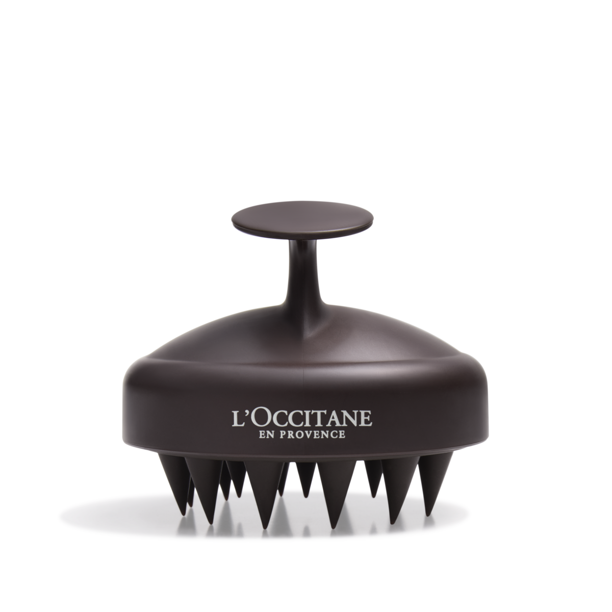 Scalp Brush