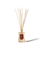 Veillée Pralinée Diffuser  - Illustration 2