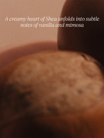 Shea Cream Hand Wash