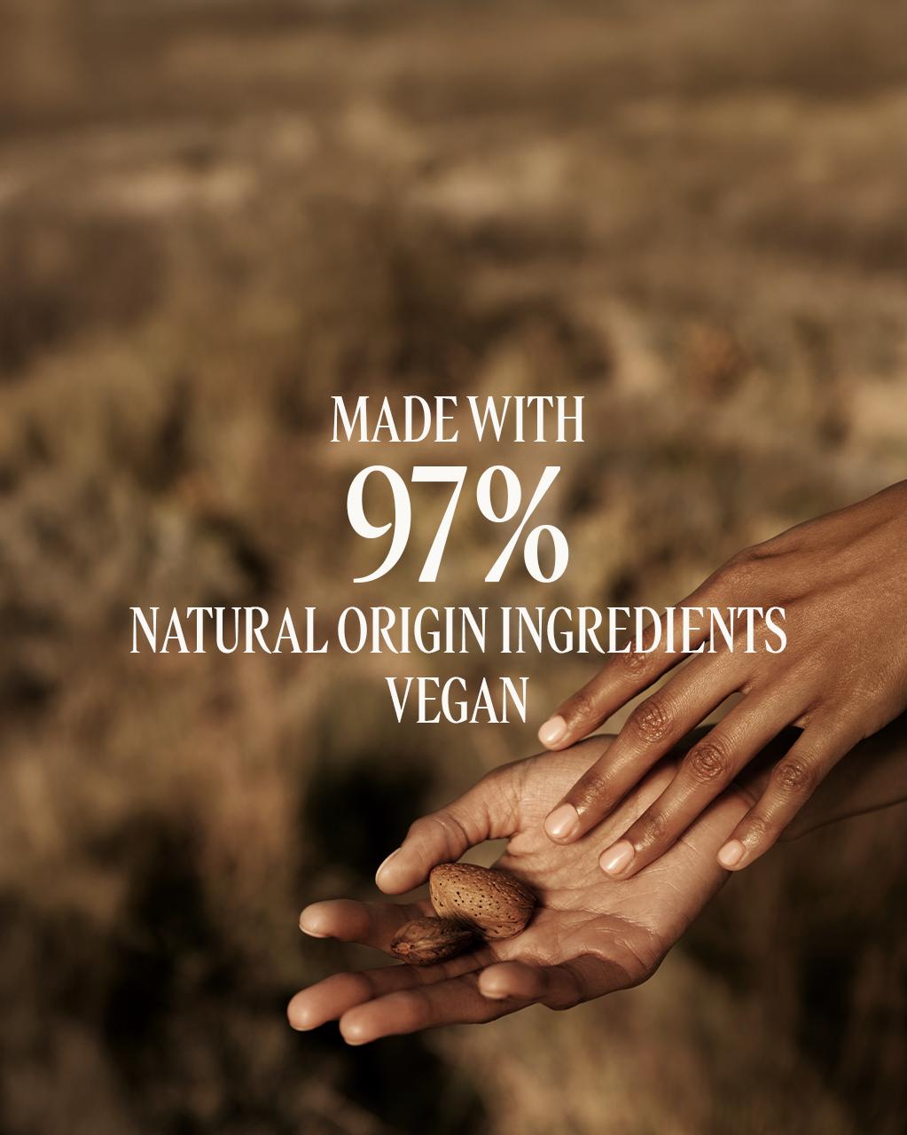 Almond Milk Concentrate