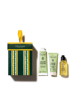 ORNAMENT ALMOND - Illustration 1