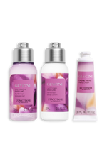 [Online Exclusive] Wisteria Mini Set