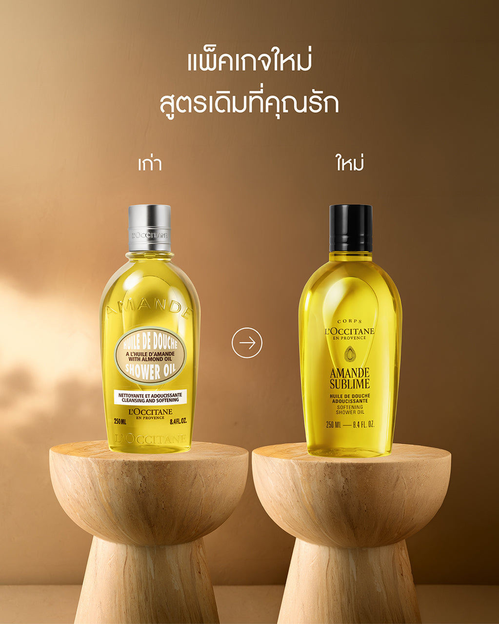 รายละเอียดสินค้า