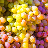 Grape_Seed Featured Ingredient - L'Occitane