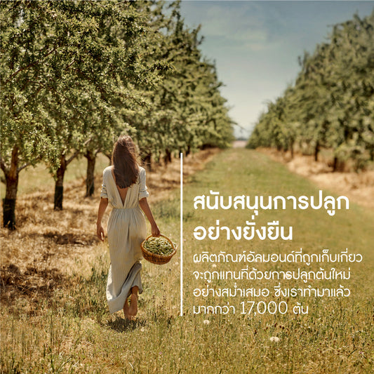Almond Shower Oil