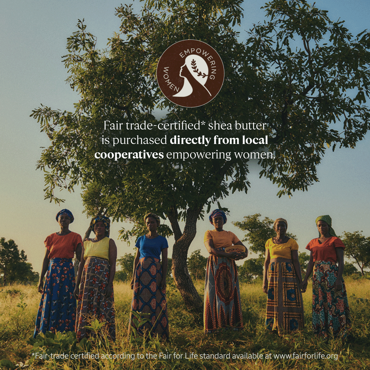 Media preview image alternate text