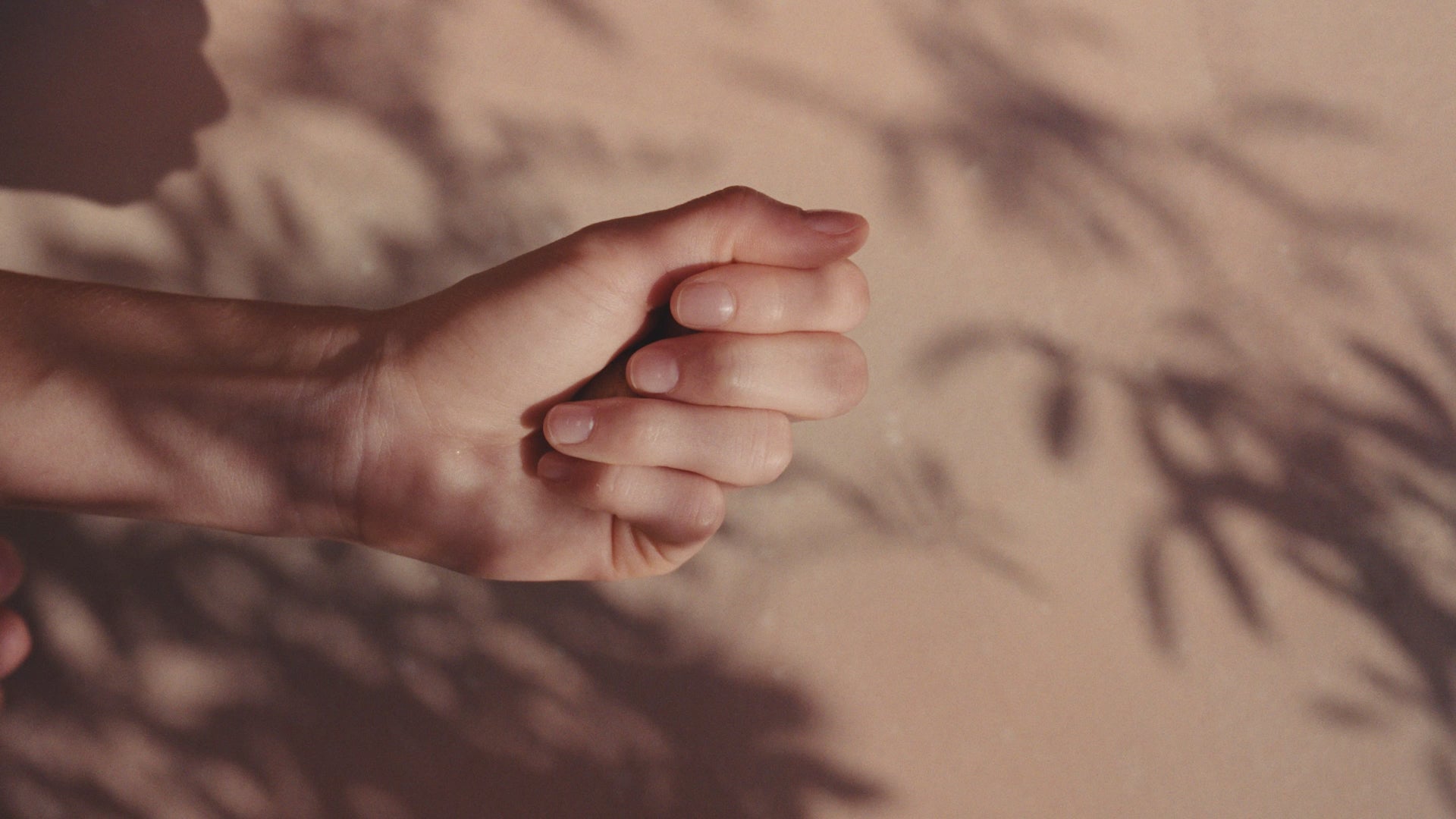 โหลดวิดีโอ: 