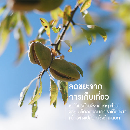 Almond Shower Oil